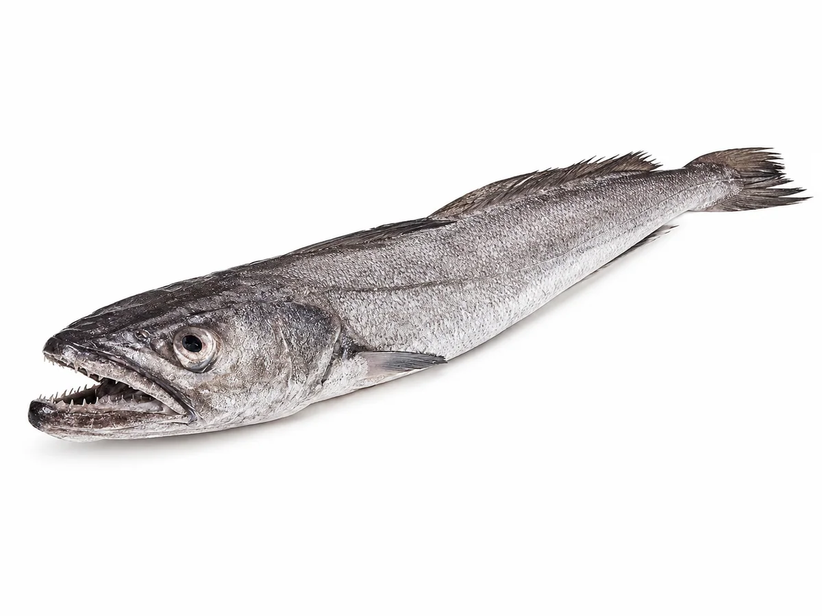 Merluza
